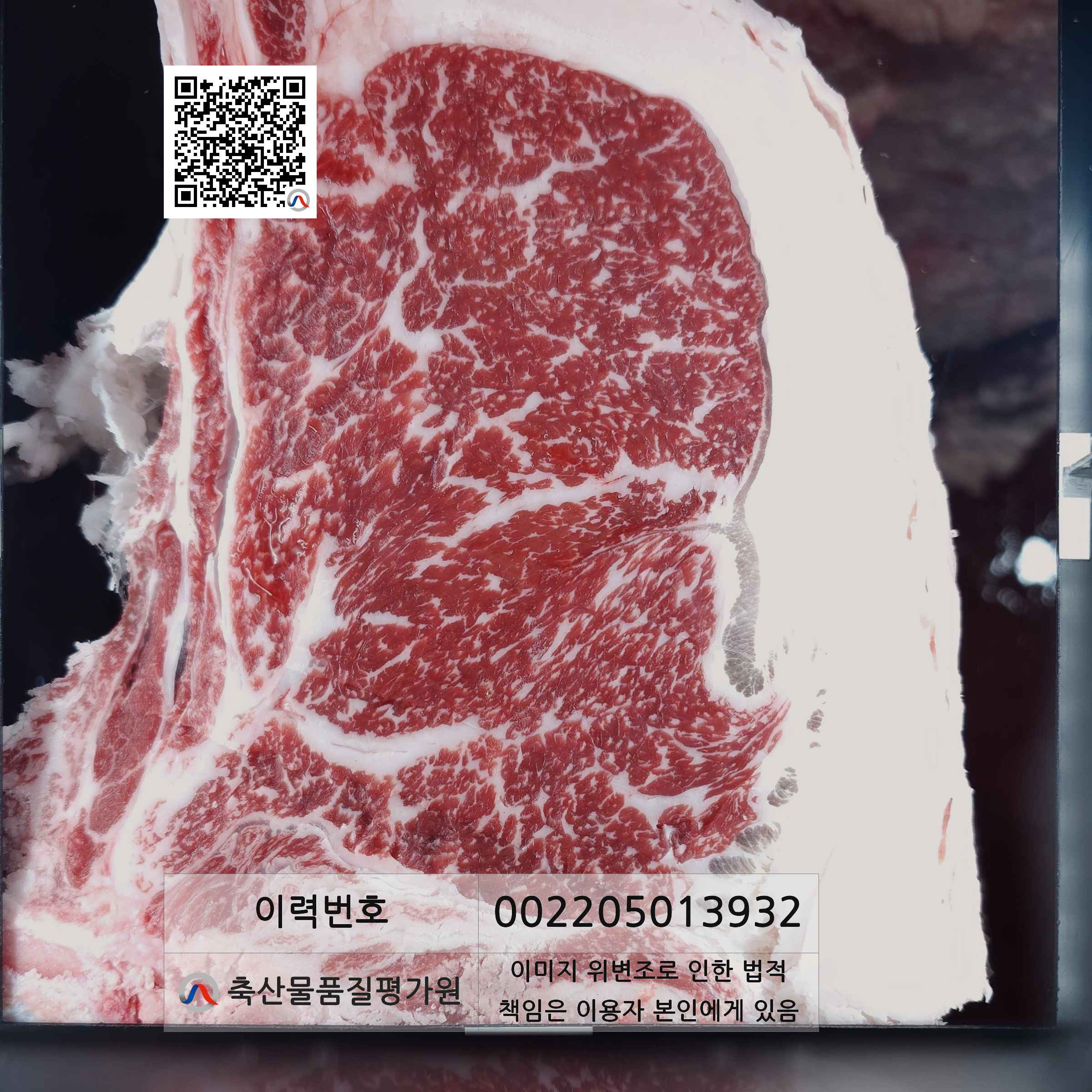 등심단면적 사진